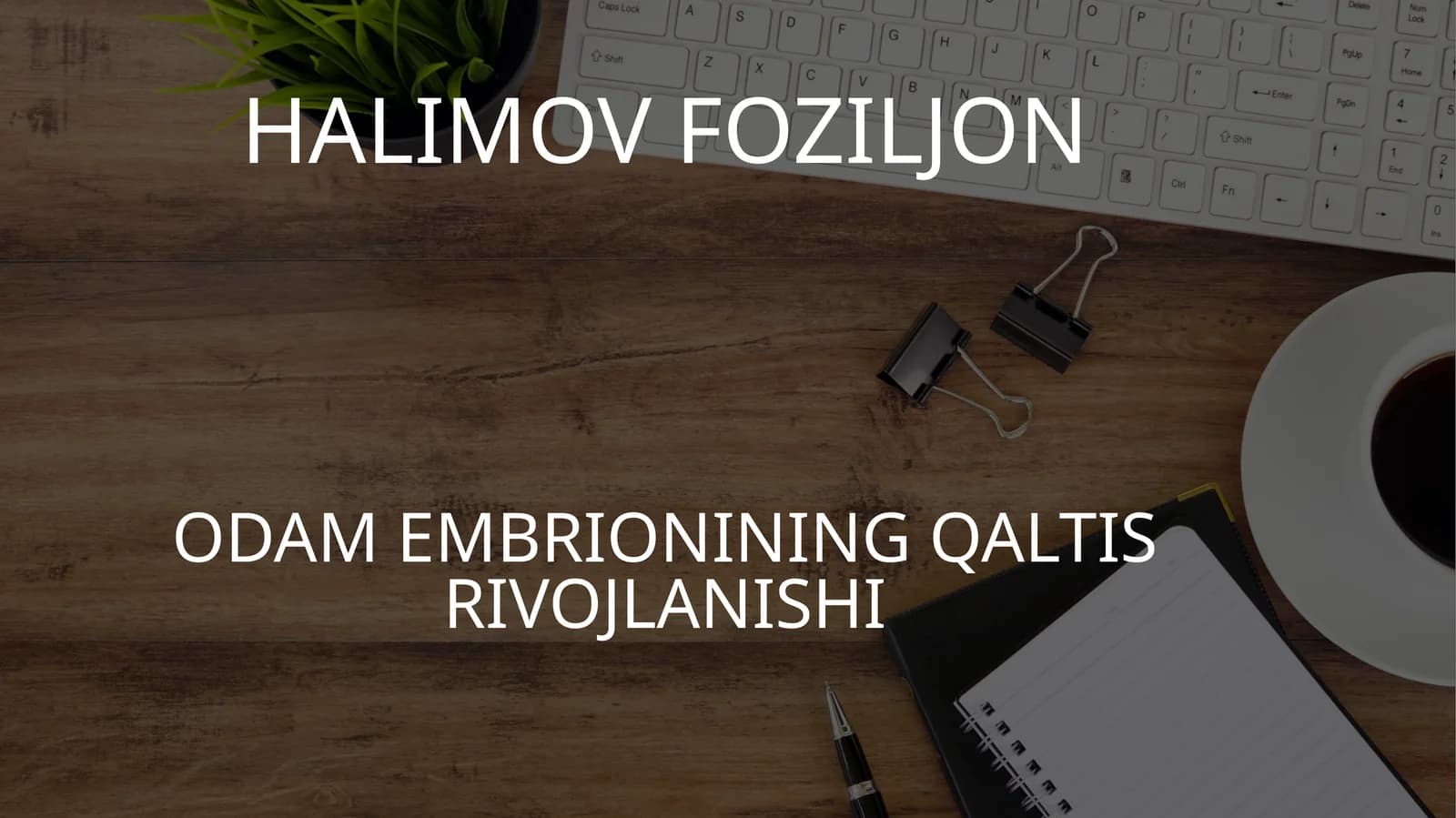 ODAM EMBRIONINING QALTIS RIVOJLANISHI