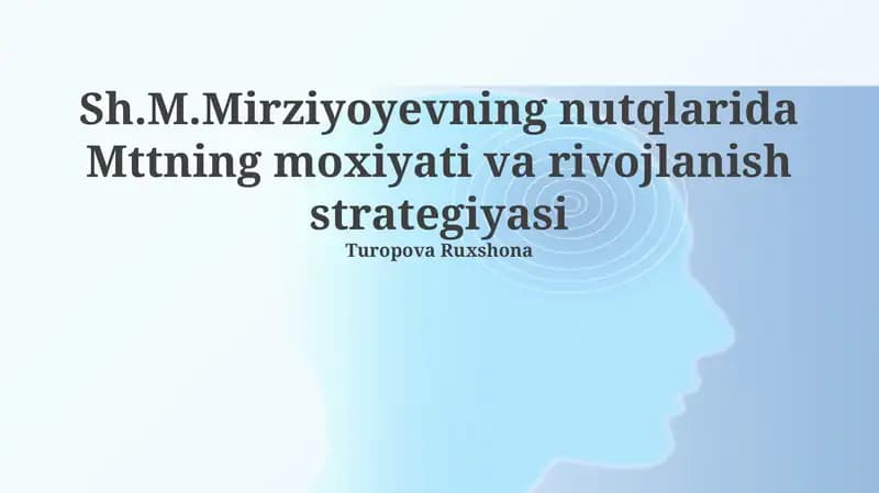 Mttning moxiyati va rivojlanish strategiyasi