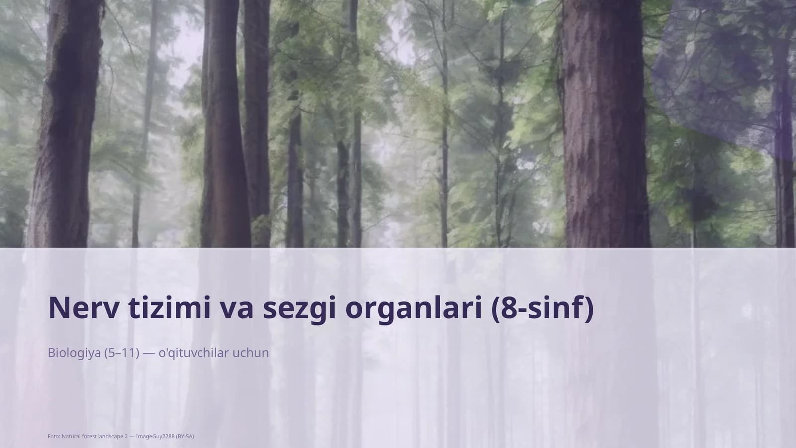 Nerv tizimi va sezgi organlari (8-sinf)
