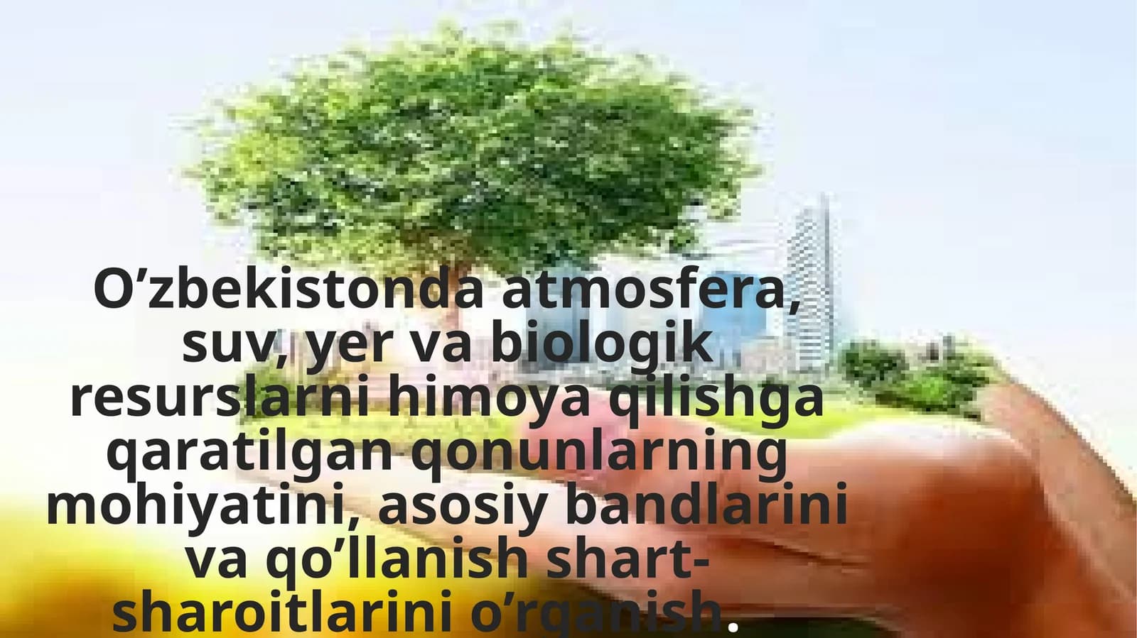 O’zbekistonda atmosfera, suv, yer va biologik resurslarni himoya qilishga qaratilgan qonunlarning mohiyatini, asosiy bandlarini va qo’llanish shart-sharoitlarini o’rganish