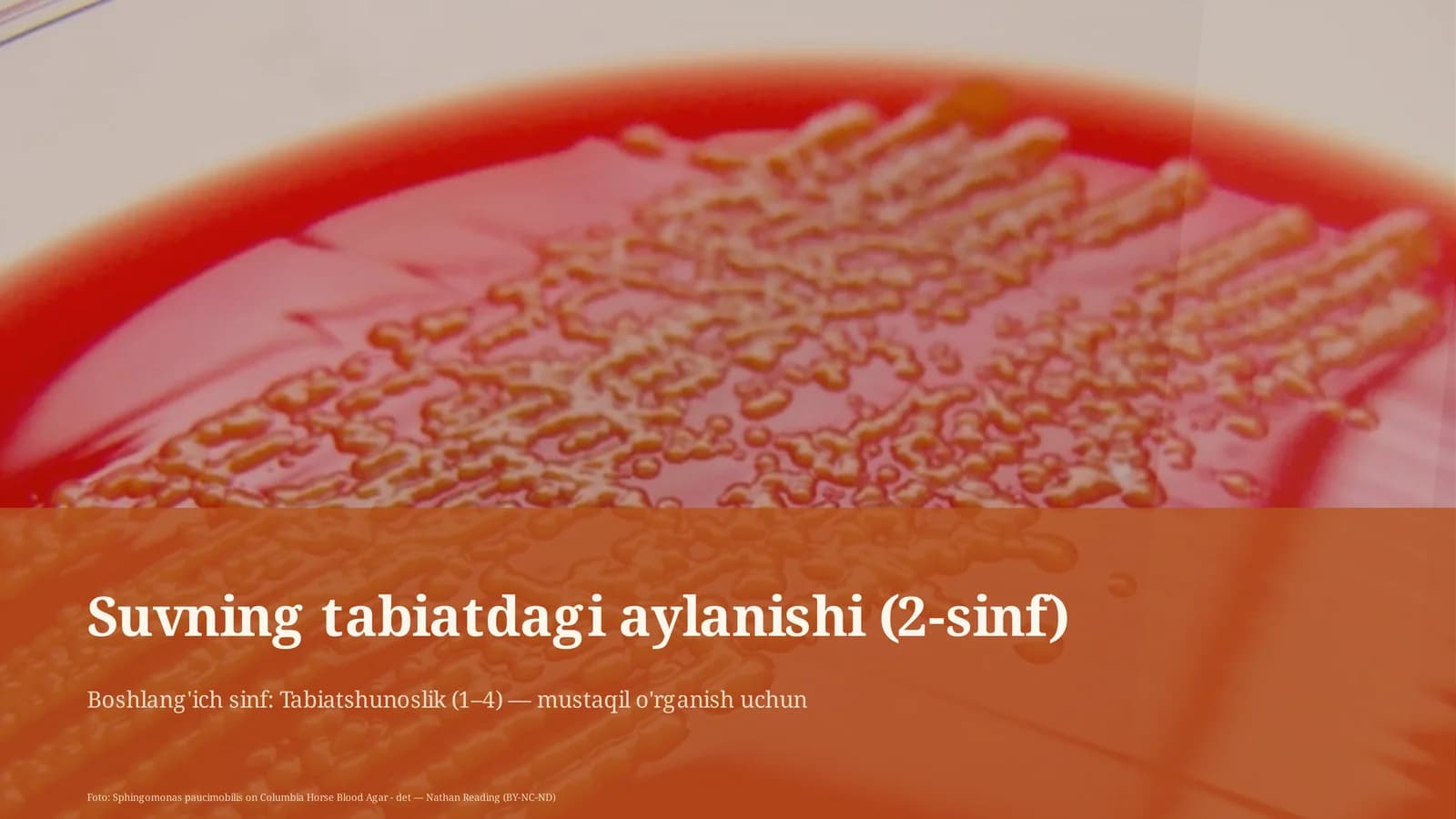Suvning tabiatdagi aylanishi (2-sinf)