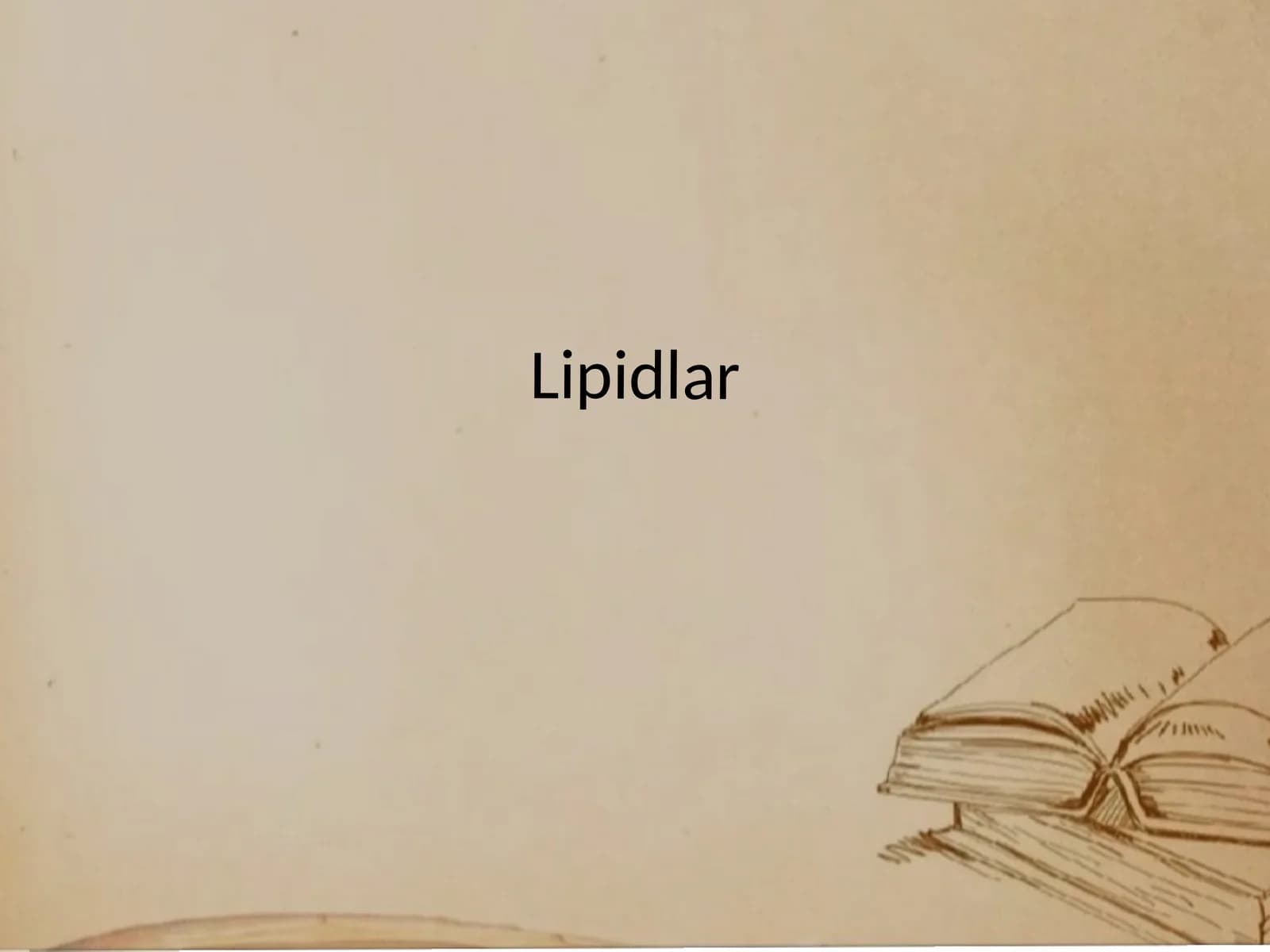 Lipidlar
