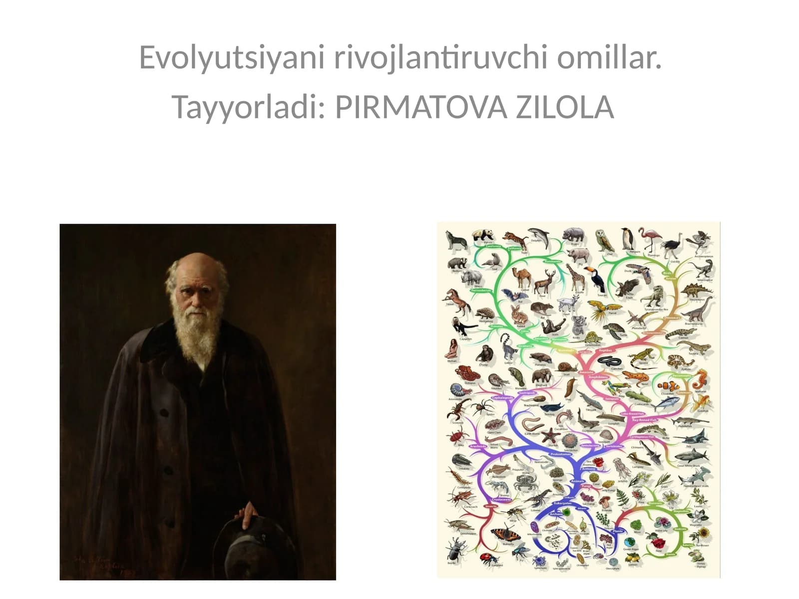 Evolyutsiyani rivojlantiruvchi omillar
