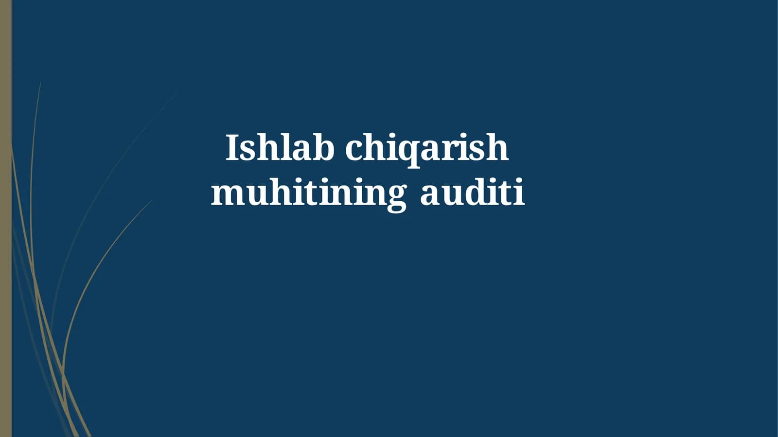 Ishlab chiqarish muhiti auditi