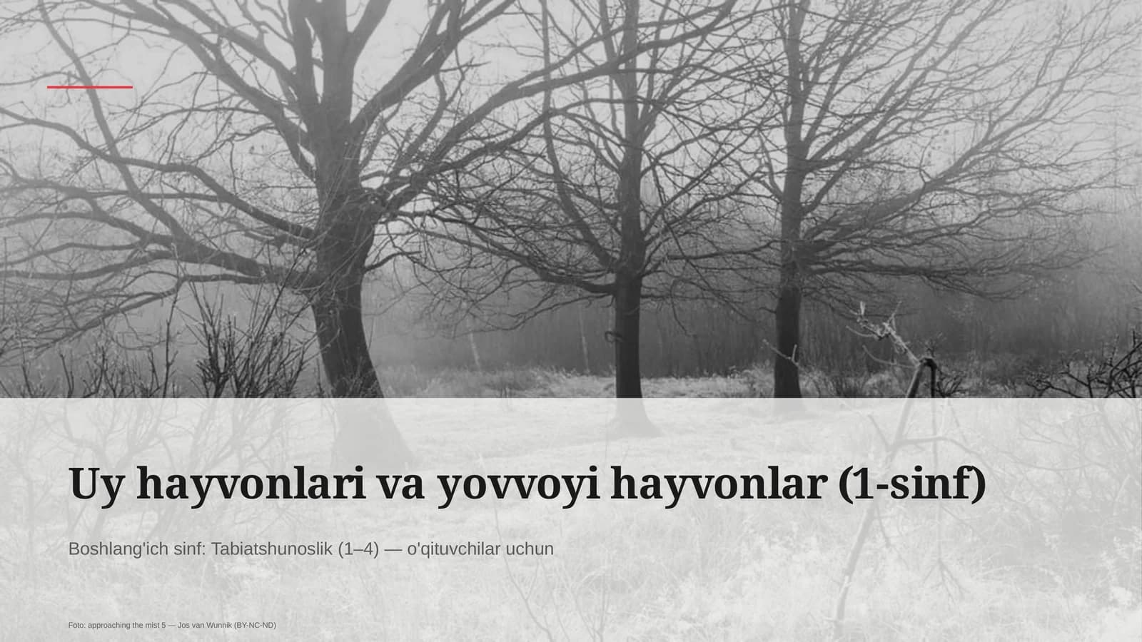 Uy hayvonlari va yovvoyi hayvonlar (1-sinf)
