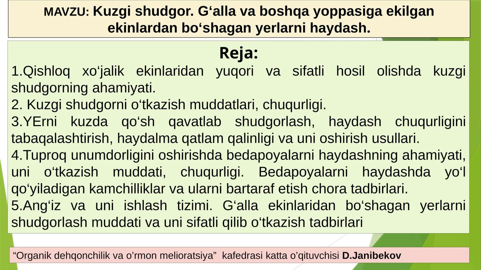 Kuzgi shudgor