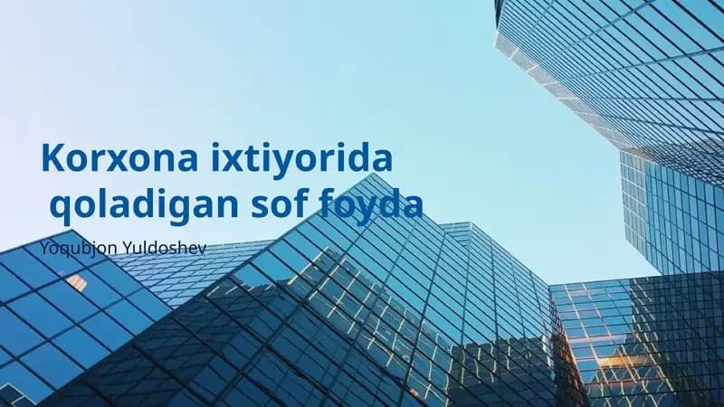 Sof Foyda Tushunchasi
