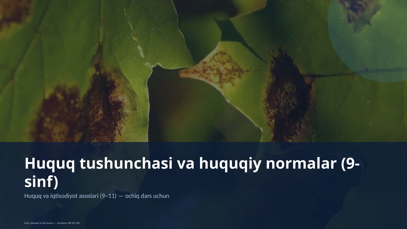 Huquq tushunchasi va huquqiy normalar (9-sinf)