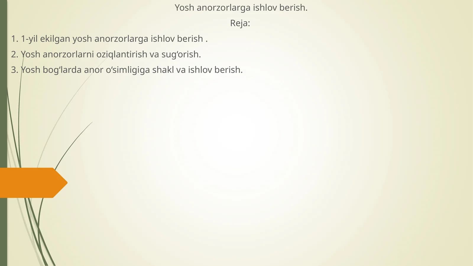 Yosh anorzorlarga ishlov berish