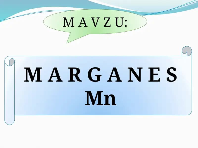 M A R G A N E S