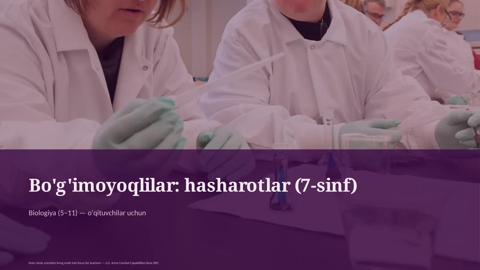 Bo'g'imoyoqlilar: hasharotlar (7-sinf)