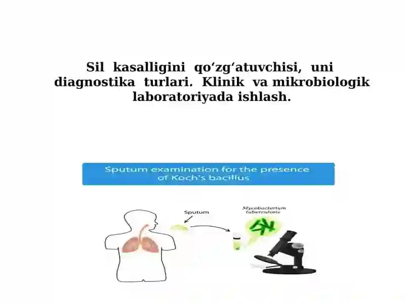 Sil kasalligini qo‘zg‘atuvchisi