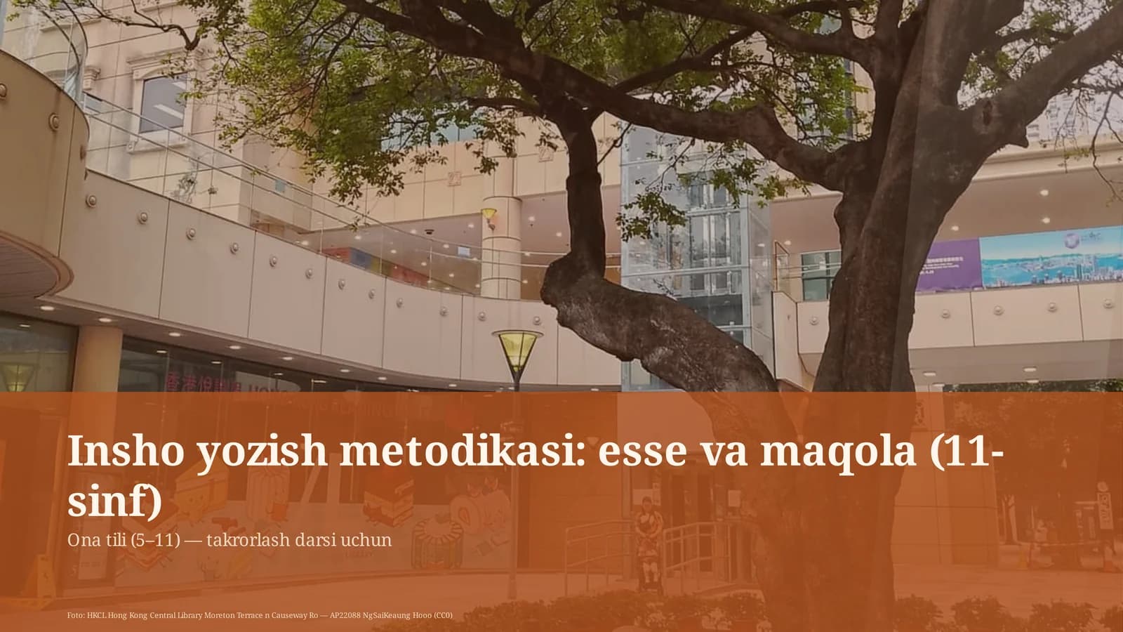 Insho yozish metodikasi: esse va maqola (11-sinf) Ona tili (5– 11) — takrorlash darsi uchun
