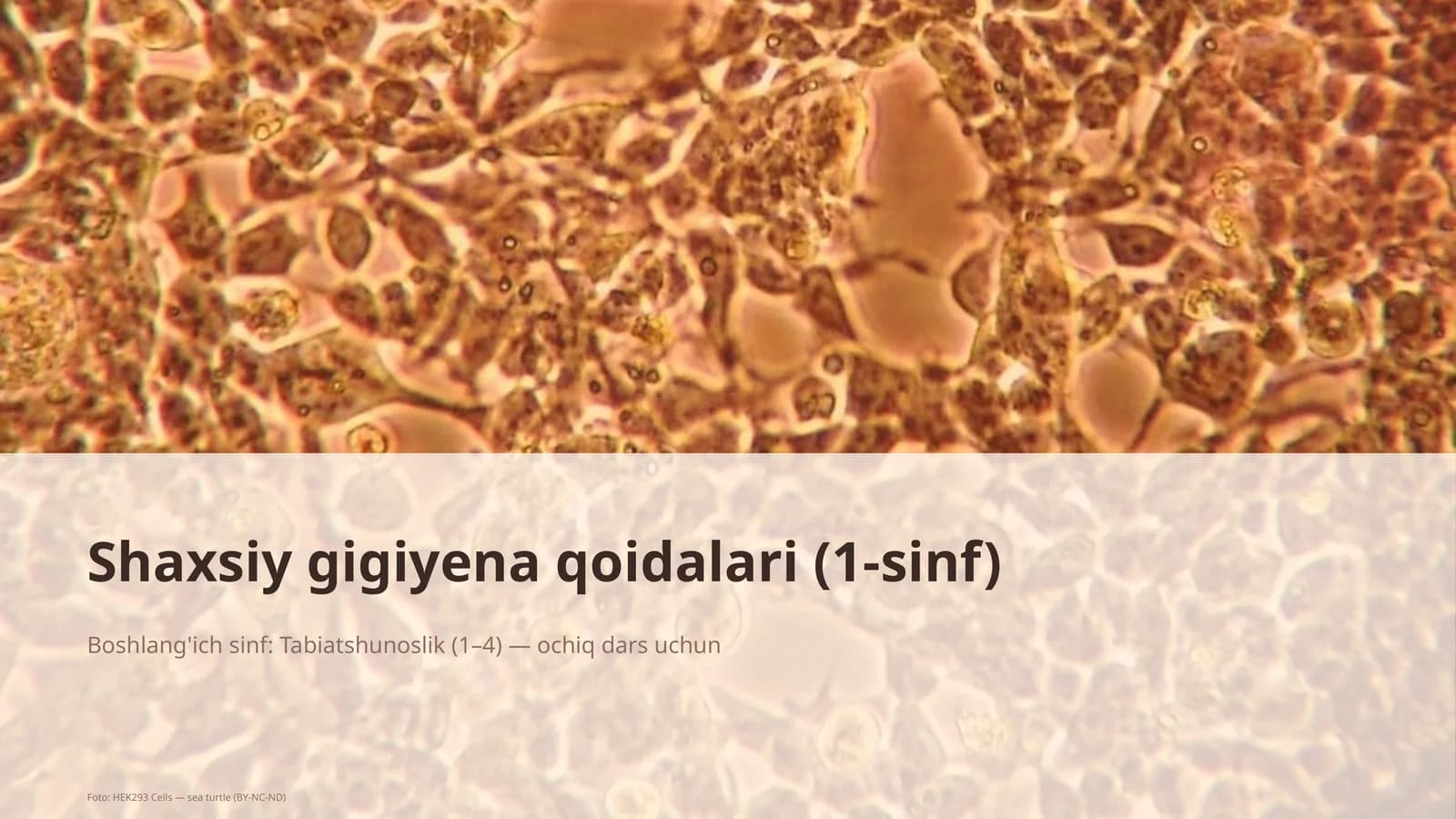 Shaxsiy gigiyena qoidalari (1-sinf)