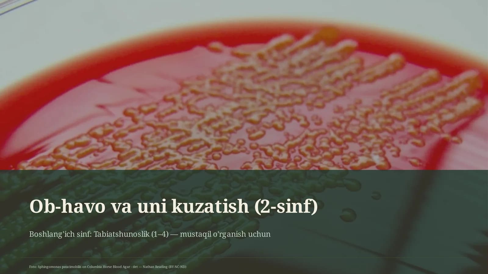 Ob-havo va uni kuzatish (2-sinf)