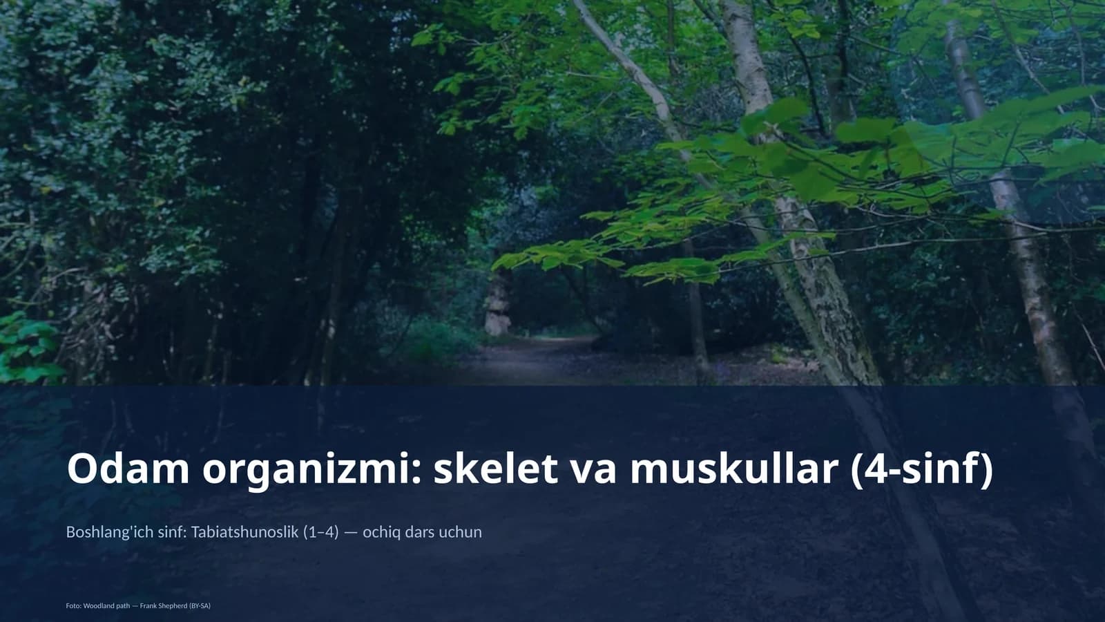 Odam organizmi: skelet va muskullar (4-sinf)