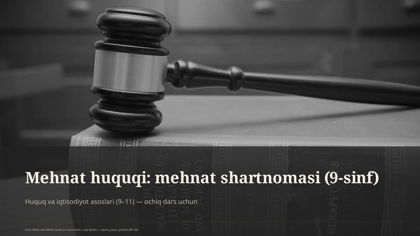 Mehnat huquqi: mehnat shartnomasi (9-sinf)