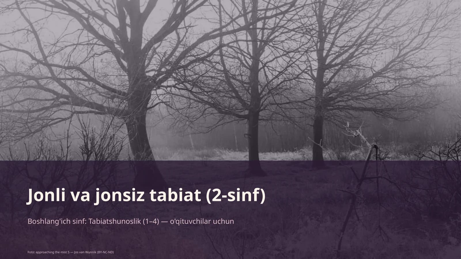 Jonli va jonsiz tabiat (2-sinf)