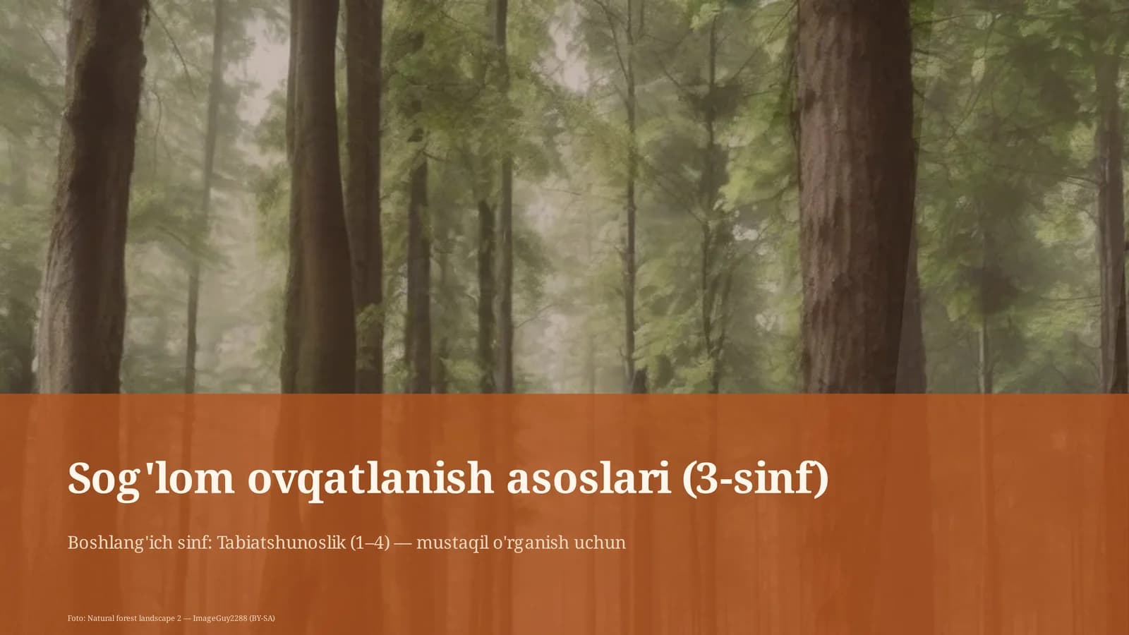 Sog'lom ovqatlanish asoslari (3-sinf)