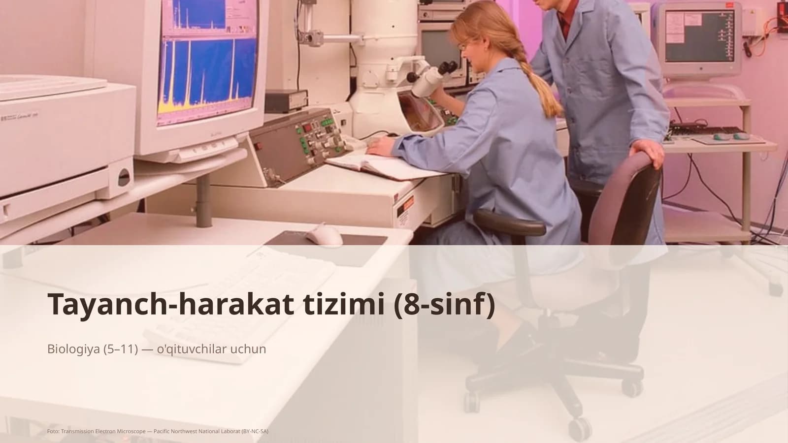 Tayanch-harakat tizimi (8-sinf)