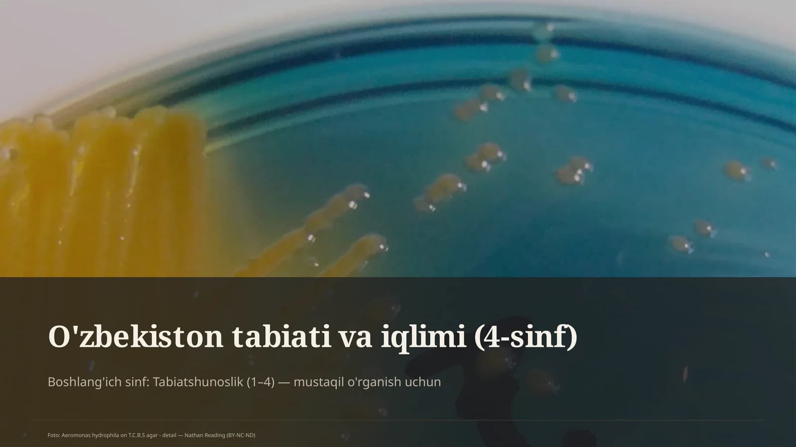 O'zbekiston tabiati va iqlimi (4-sinf)