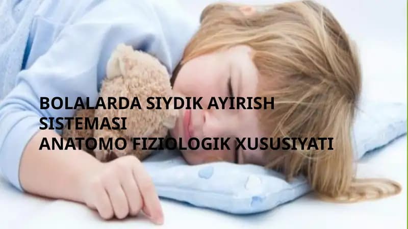 BOLALARDA SIYDIK AYIRISH SISTEMASI ANATOMO FIZIOLOGIK XUSUSIYATI