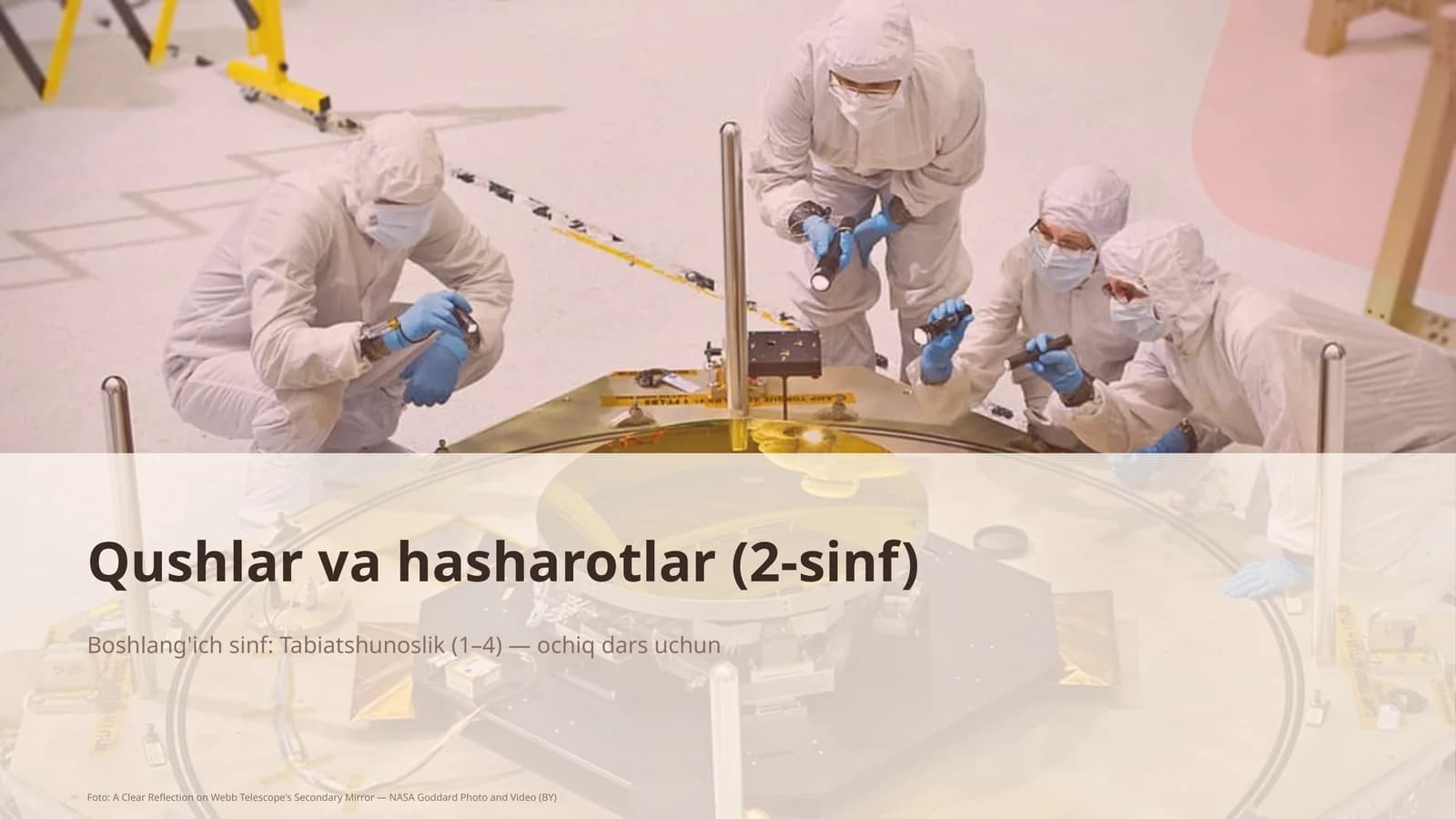 Qushlar va hasharotlar (2-sinf)