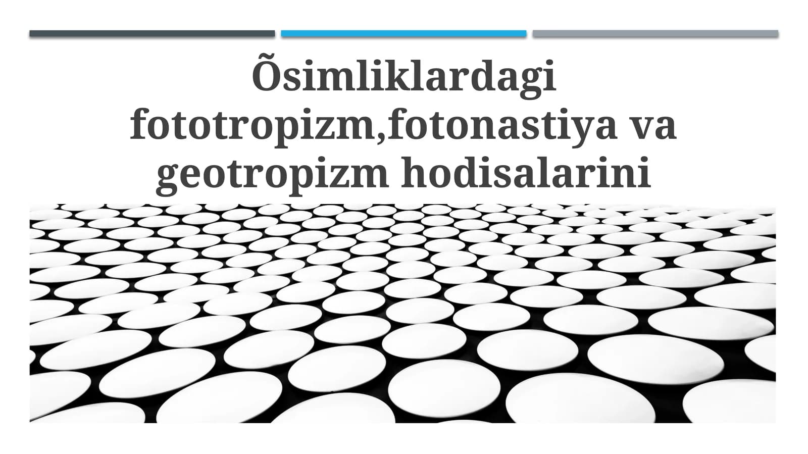 Fototropizm, Fotonastiya va Geotropizm: Ta'riflar va Mexanizmlar