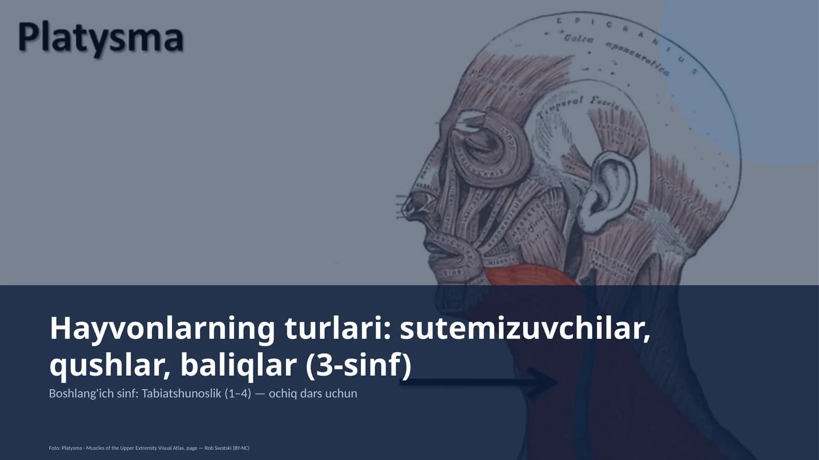Tabiatshunoslik