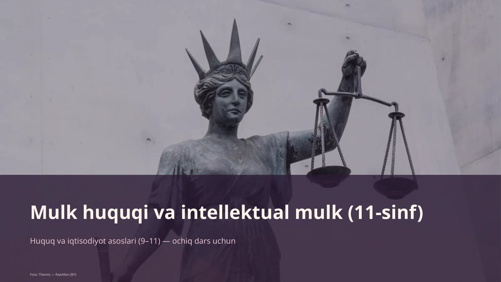 Mulk huquqi va intellektual mulk (11-sinf)