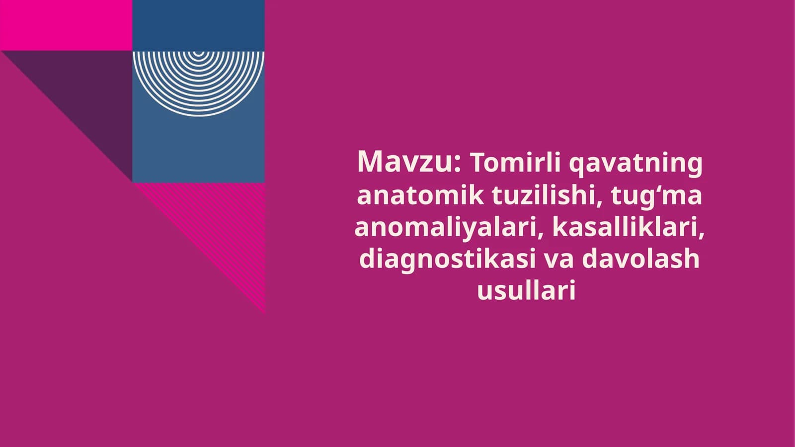 Tomirli Qavatning Anatomiyasi va Fiziologik Xususiyatlari
