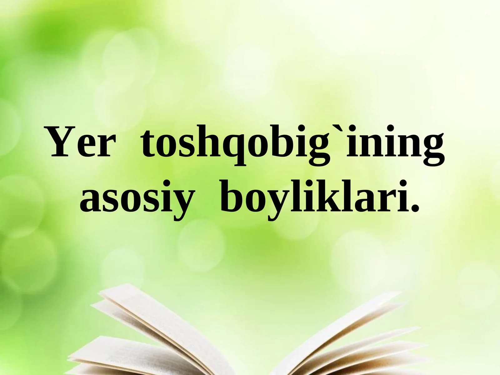 Yer toshqobig`ining asosiy boyliklari