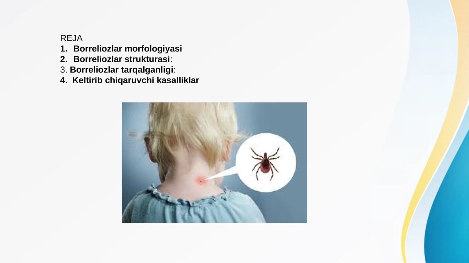 Borreliozlar morfologiyasi