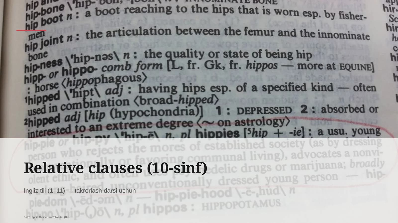Relative clauses (10-sinf)
