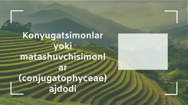Konyugatsimonlar va Matashuvchisimonlar