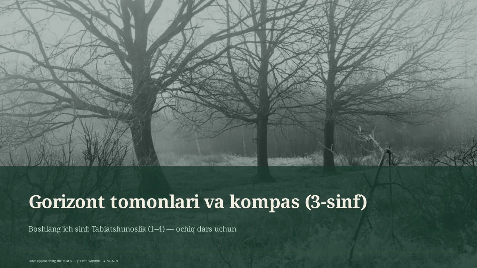 Gorizont tomonlari va kompas (3-sinf)