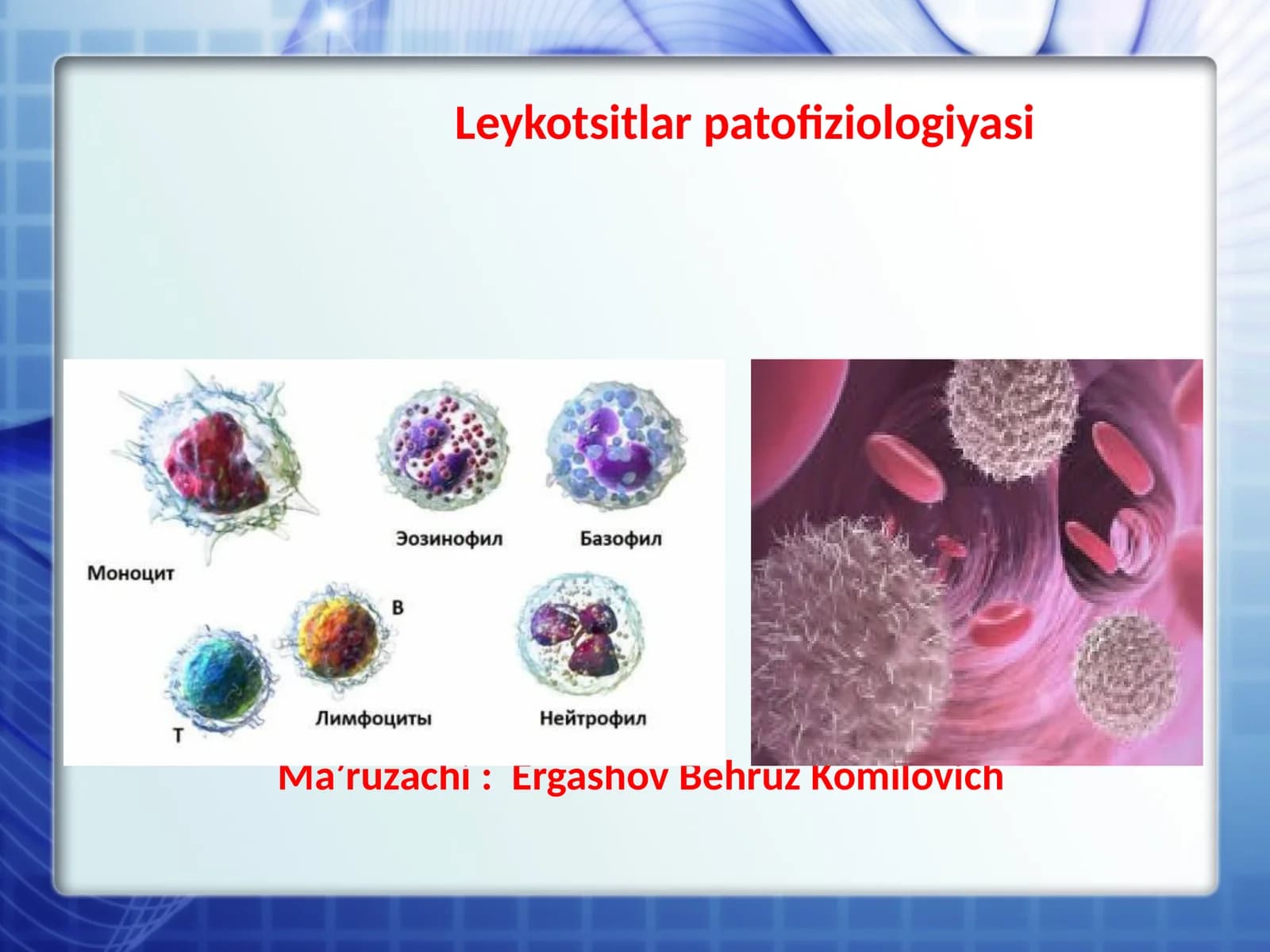 Leykotsitlar patofiziologiyasi