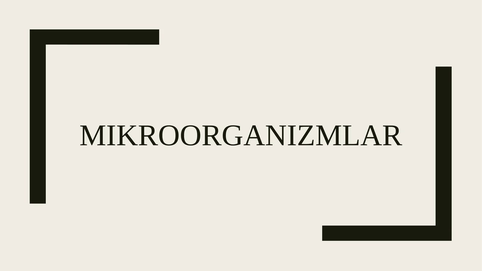 Mikroorganizmlar