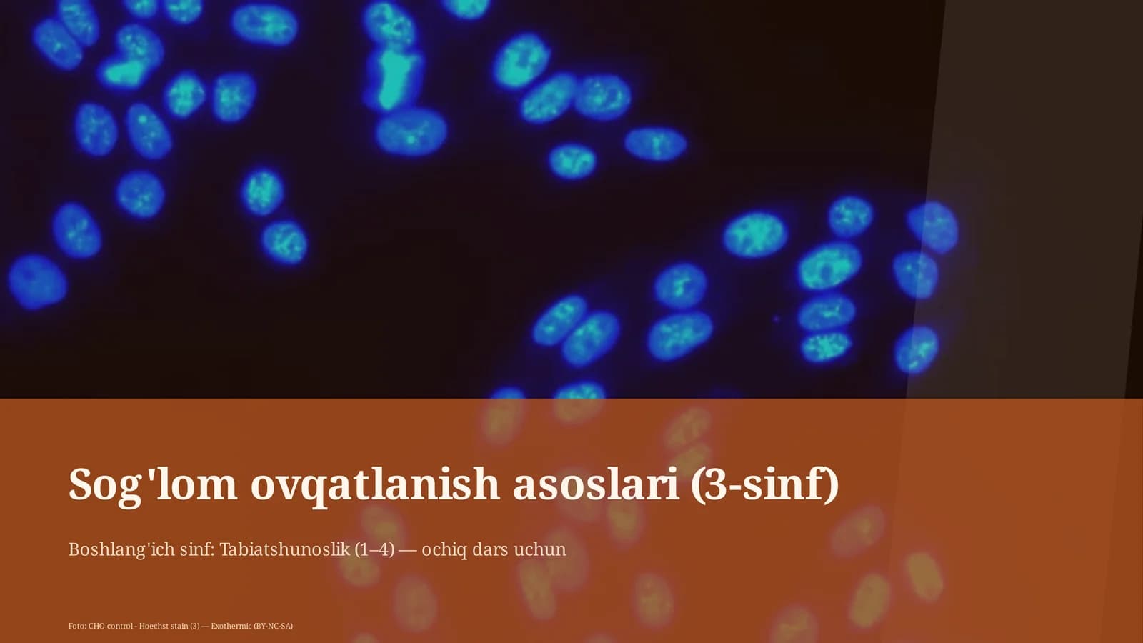 Sog'lom ovqatlanish asoslari (3-sinf)