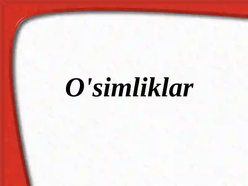 O'simliklar