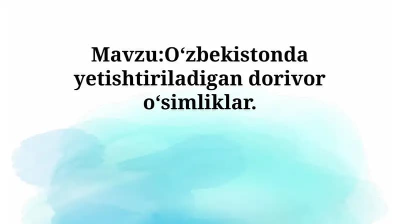 O‘zbekistonda yetishtiriladigan dorivor o‘simliklar
