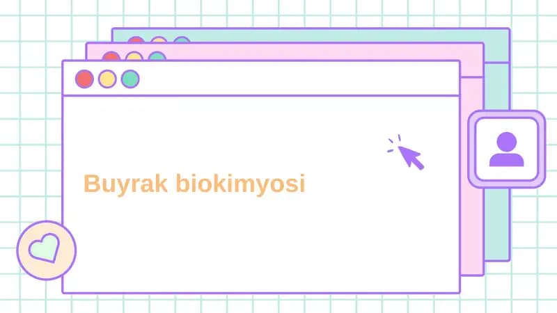 Buyrak biokimyosi