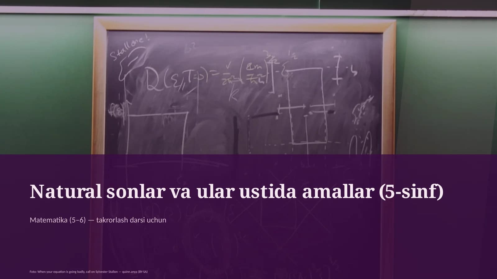 Natural sonlar va ular ustida amallar (5-sinf)