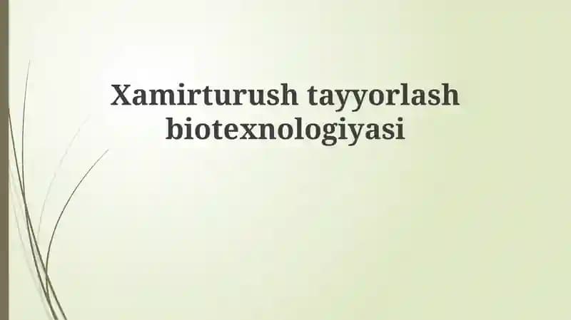 Xamirturushtayyorlash biotexnologiyasi