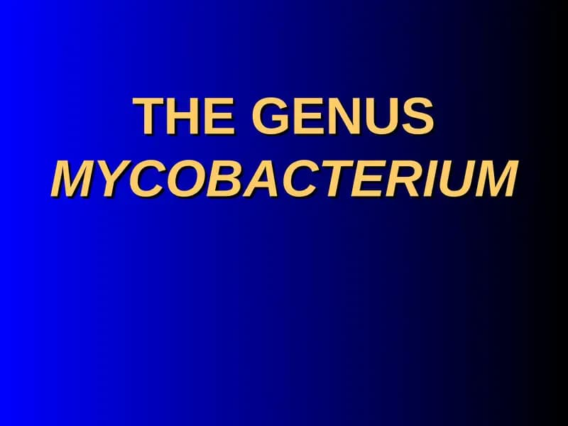 Mycobacterium tuberculosis