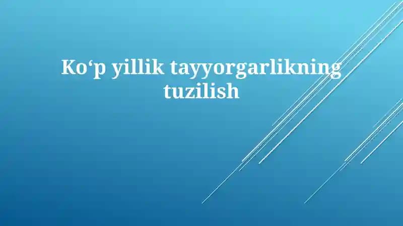 Tayyorgarlikning Tuzilishi