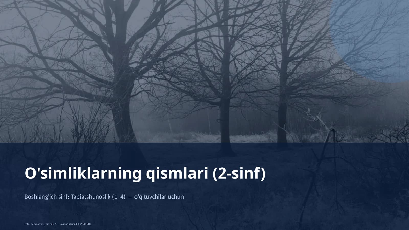 O'simliklarning qismlari (2-sinf)