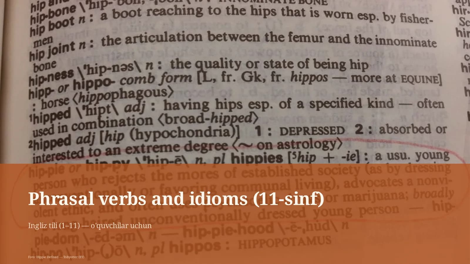 Phrasal verbs and idioms (11-sinf)