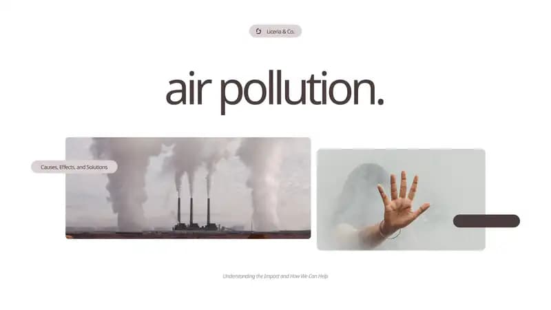 Air Pollution: Causes, Effects, and Solutions