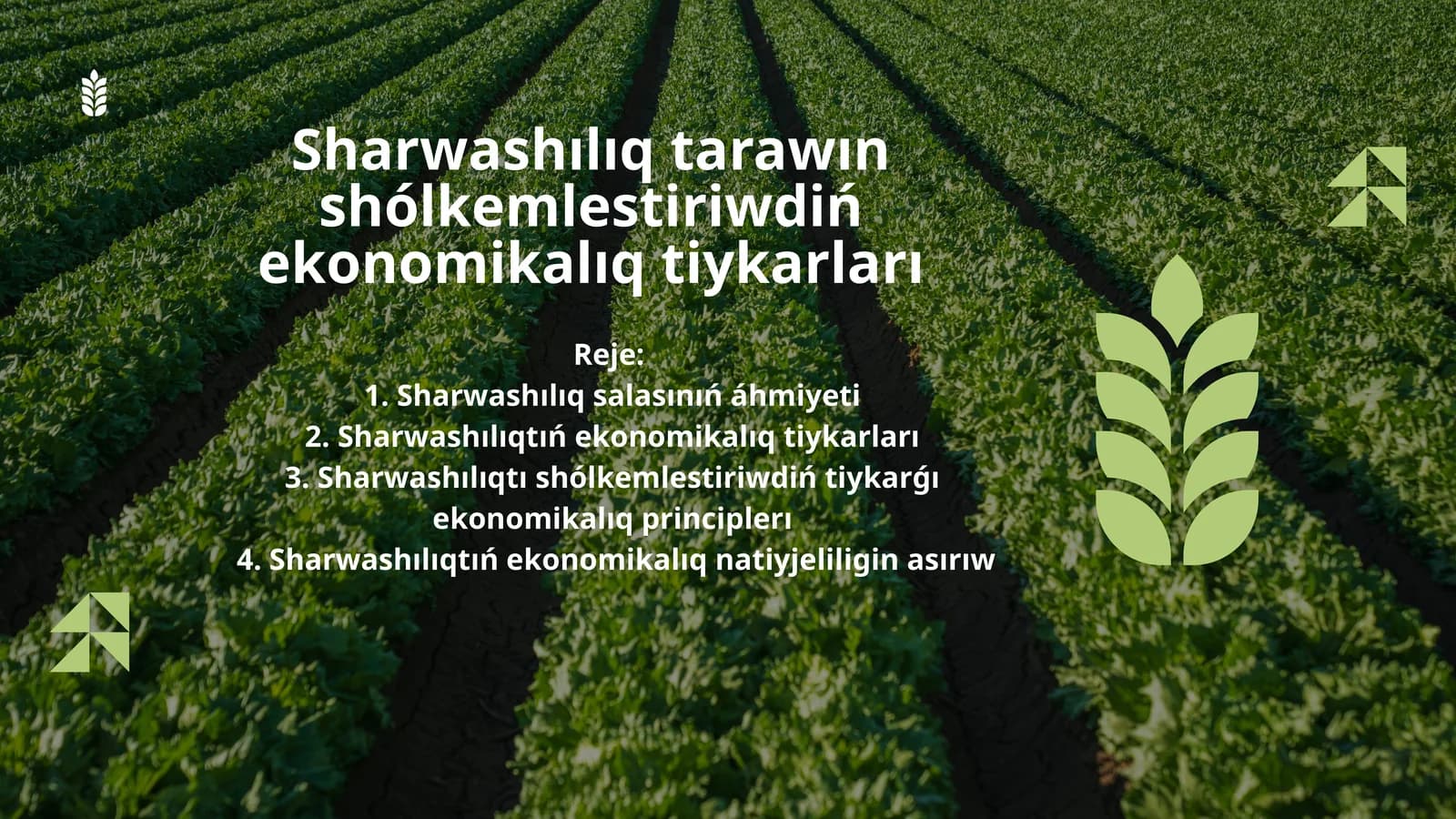 Sharwashılıq tarawın shólkemlestiriwdiń ekonomikalıq tiykarları